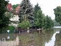 Hochwasser (196)